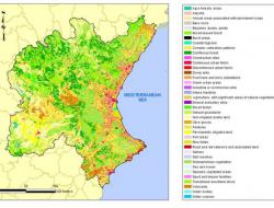 Land use map (2006)