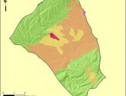 CORINE land cover map
