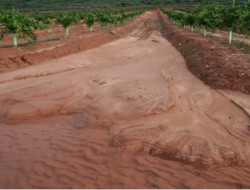Soil erosion in orchards