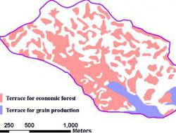 Spatial distribution of terraces