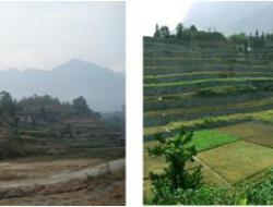 Before and after soil conservation treatment