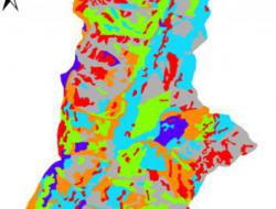 Map of vegetation cover