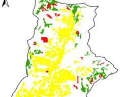 Spatial distribution of terraces