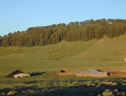 Herders settlement 1