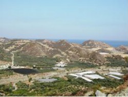 Ierapetra