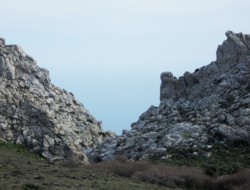 Kapetaniana (14)