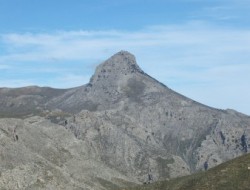 Kapetaniana (6)