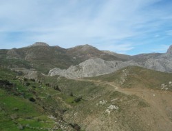 Kapetaniana (7)