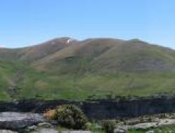 Ordesaleddra2