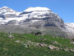 Ordesaleddra7