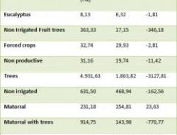 Land cover and changes