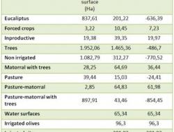 Land cover and changes