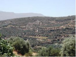 Upper messara valley