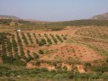 Messara Valley, Crete