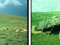 Evolution of the SES (D232)